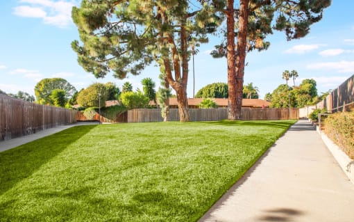 Dog-Friendly Apartments in Carlsbad, CA - Large Enclosed Grassy Field with Lush Landscaping