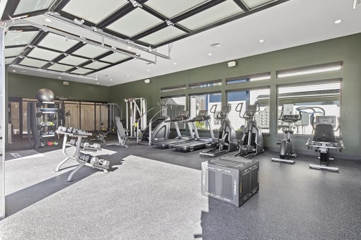 a spacious fitness center with treadmills and other exercise equipment,