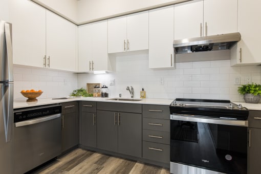 studio apartments in Olympia WA - meadowscape - modern kitchen with stainless-steel appliances and a tiled backsplash,