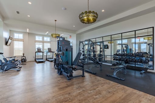 a gym with weights and cardio machines and a gold chandelier