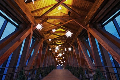 bridge