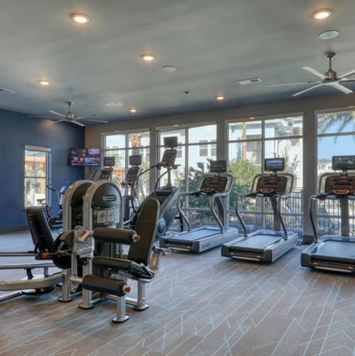 Photos and Video of The Ridley in Jacksonville, FL