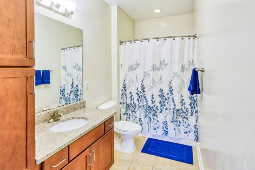 master bathroom with garden style soak in tub, toliet, sink and vanity