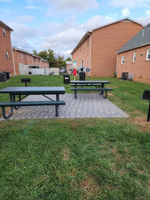 A green picnic table is in the middle of a grassy area.