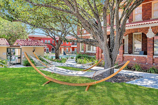 A large tree in a yard with a wooden bench.
