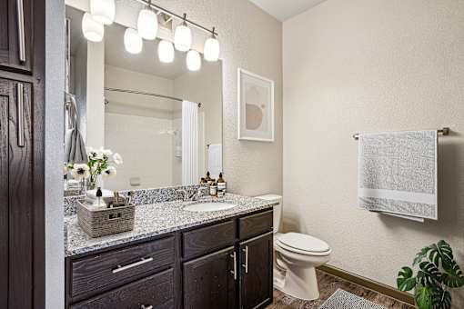 Pet-Friendly Rentals in Bentonville, AR – Parc at Bentonville – A bathroom with a white toilet and a mirror above a sink.