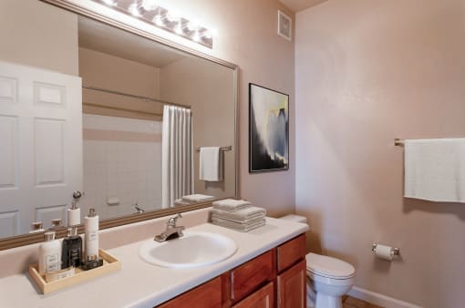 a bathroom with a mirror and a sink and a toilet