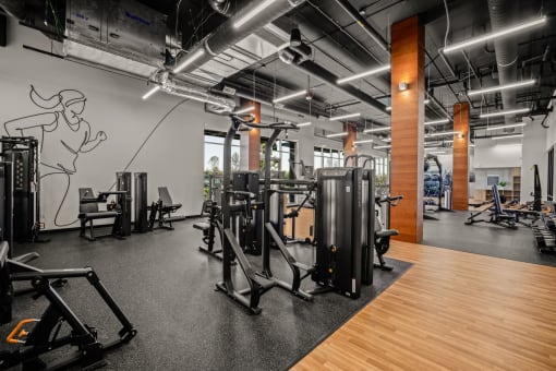 the gym is equipped with cardio equipment and weights