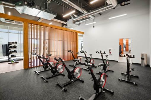 a group of spin bikes in a gym