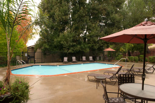 Concord CA Apartments - Lime Ridge - Pool Surrounded by Lounge Seating and Lush Landscaping