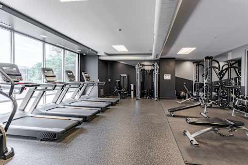 A gym with treadmills and weight machines.