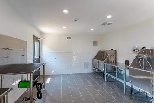 A clean, empty commercial kitchen with stainless steel appliances and a green bucket on the floor.