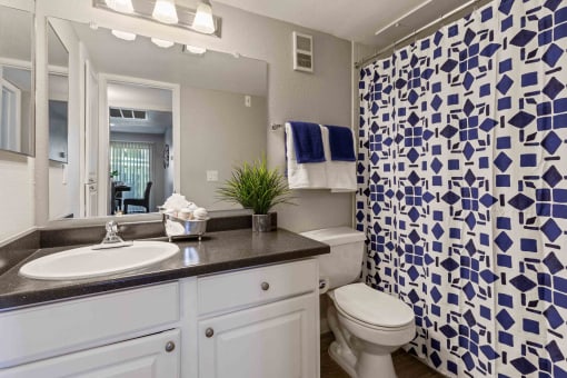 Updated Bathroom Finishes