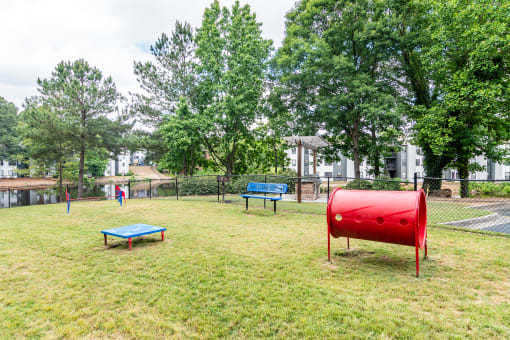 Summit Station at Duluth, Duluth, GA, Apartment_dog park