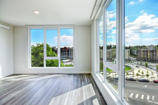 expansive windows