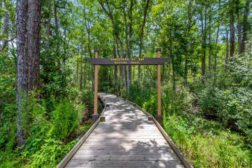 Access to scenic hiking trails and natural surroundings near The Sanctuary at 331 in Santa Rosa Beach