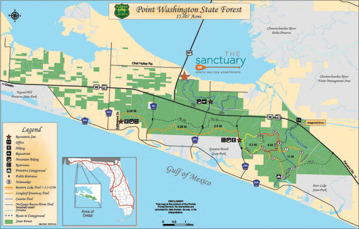 Map illustrating the forested areas surrounding The Sanctuary at 331 in Santa Rosa Beach, FL
