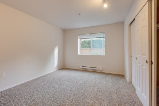 lots of natural light in apartment