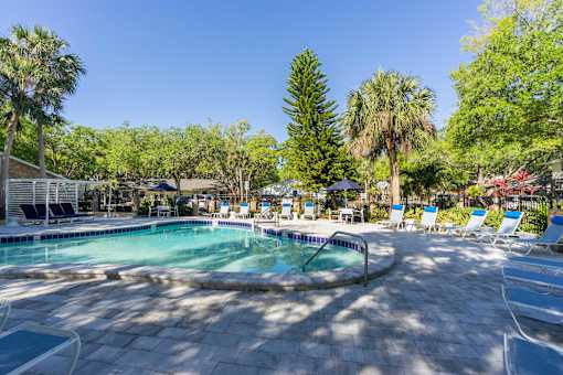 a pool with lounge chairs and trees in the background