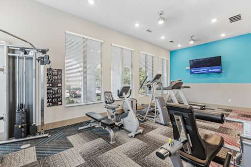 A gym with a variety of equipment including treadmills, weights, and a television.