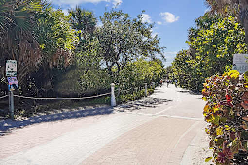 A tree-lined walkway with a sign on the left side.