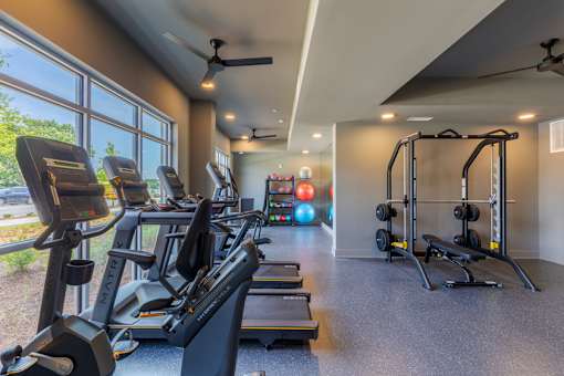Spacious fitness center with cardio machines and floor-to-ceiling windows at Springview Apartments near South DeKalb.