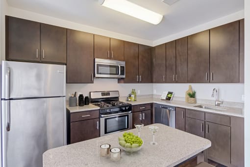 kitchen with stainless steel appliances