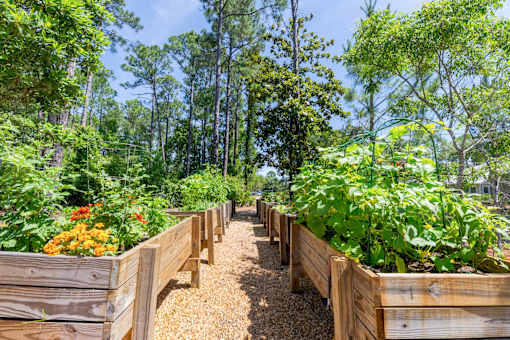 A garden with wooden fences and plants.