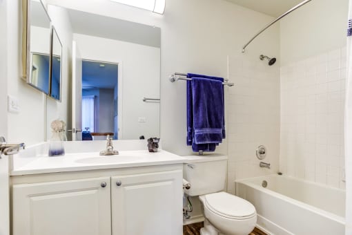 a bathroom with a sink toilet and tub and a mirror