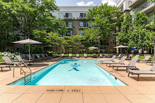 A swimming pool with the words "Shallon 4 feet" written on the bottom.