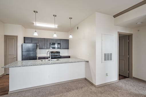 the preserve at ballantyne commons apartment living room and kitchen