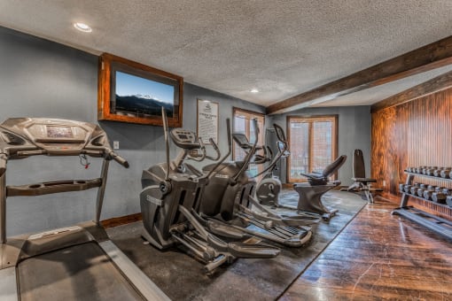 Treetop Lodge Apartments in Overland Park, KS photo of fitness center- free weights, cardio machines