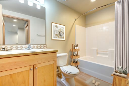 a bathroom with a toilet sink and bathtub