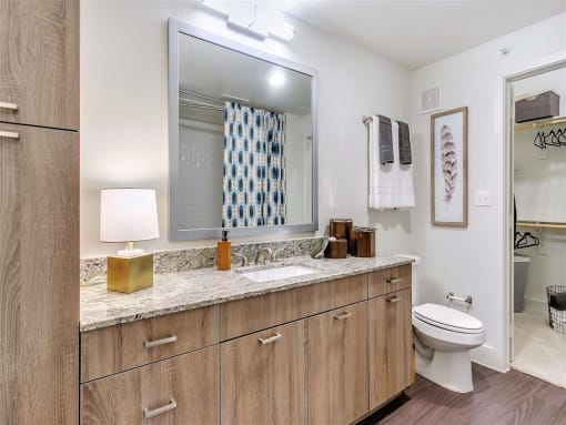 Photo of Village of  Rowlett Model