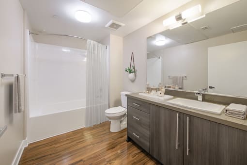 A bathroom with a toilet, sink, and mirror.
