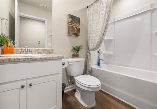 a bathroom with a toilet and a tub and a sink