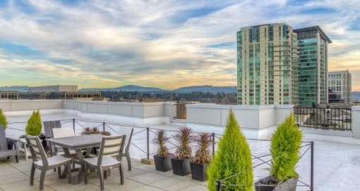Roof-Top Terrace with Barbecue