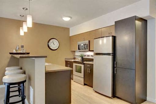 stainless steel appliances in kitchens