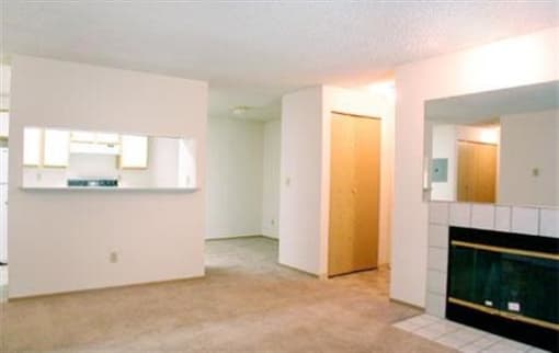 Wood-Burning Fireplace-in apartment