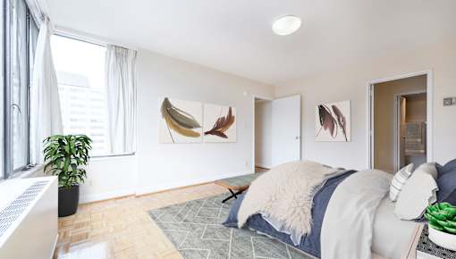 A bedroom with a bed, a plant, and pictures on the wall.