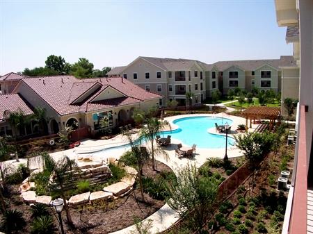 A pool surrounded by a patio and trees.