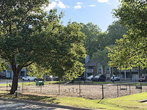 A tree in a park with a fence and a building in the background.