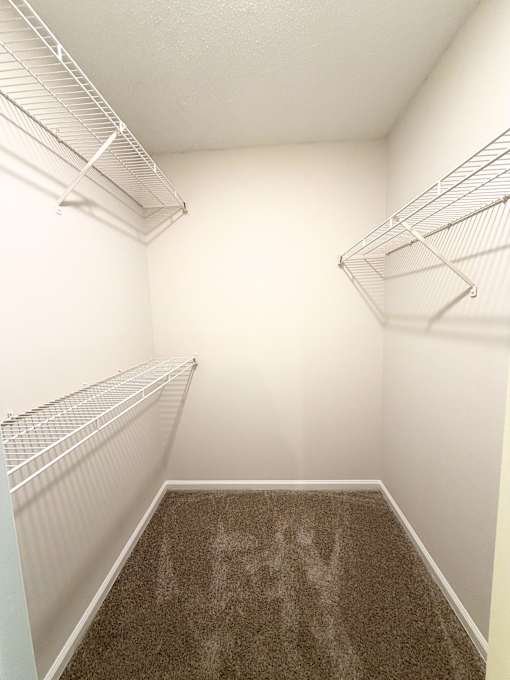 Empty walk-in closet with white shelving.