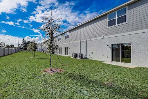 A tree stands in a grassy yard in front of a grey building.