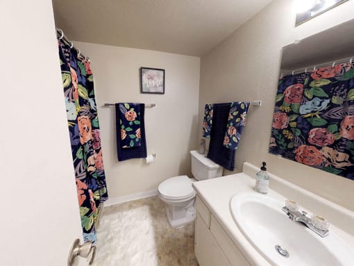 bathroom at Castle Pointe Apartments