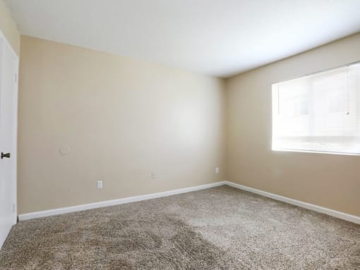 Jackson TN apartments with large bedroom windows