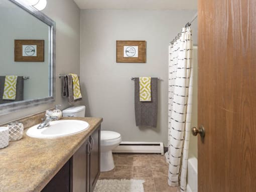 Apartment Bathroom at Nemoke Trails Apartments