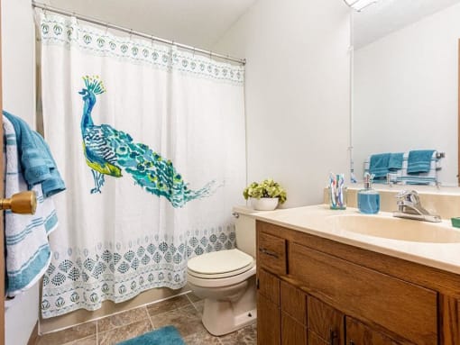 spacious bathroom in St Cloud MN apartments