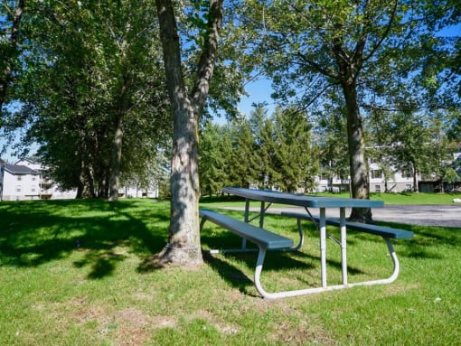 Outdoor Picnic Area at Crown Pointe Apartments