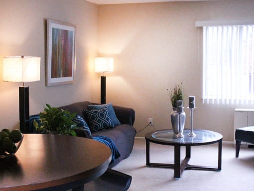 apartment living room in Decatur, IL